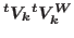 ${}^tV_k{}^tV^W_k$