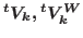 ${}^tV_k,
{}^tV^W_k$