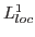 $L^1_{loc}$