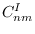 $C_{nm}^{I} $